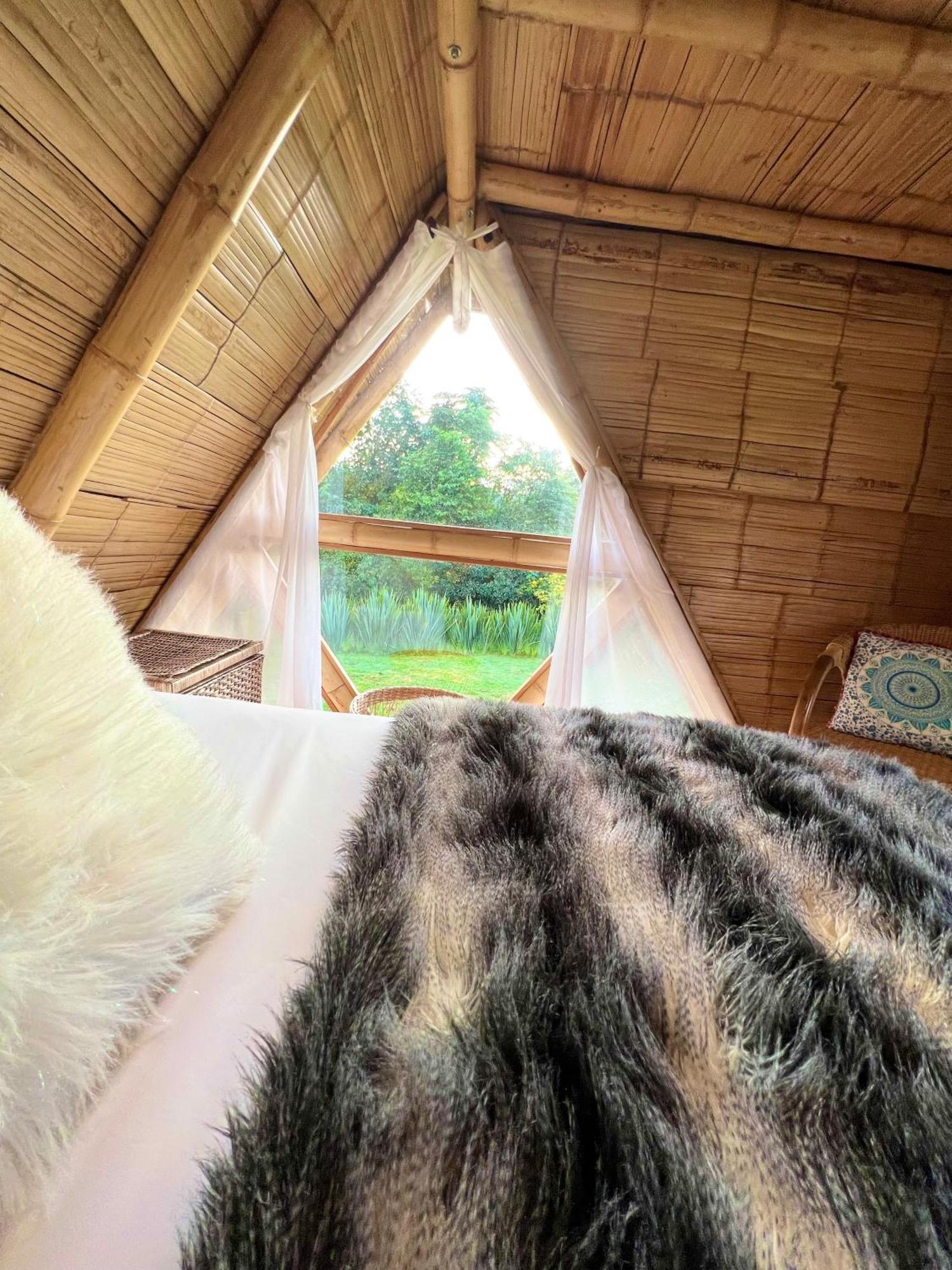 Glamping La Herradura Санта-Роса-де-Кабаль Екстер'єр фото